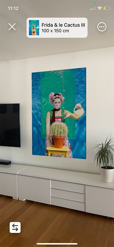 Projection of painting Frida et le Cactus III in virtual reality with mobile app ARTRA